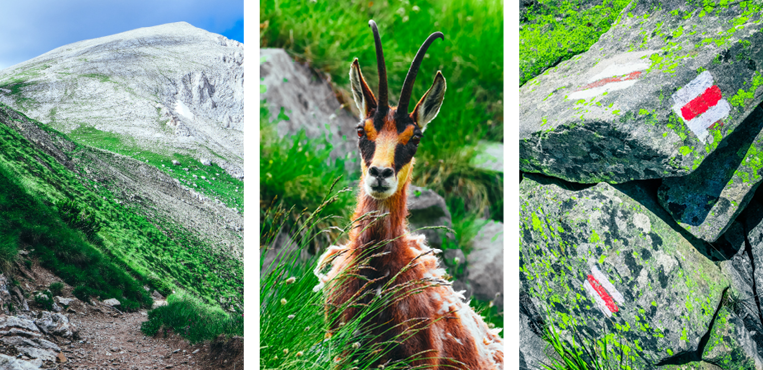 Маршрут отмечен на придорожных камнях меткой «белый-красный-белый»