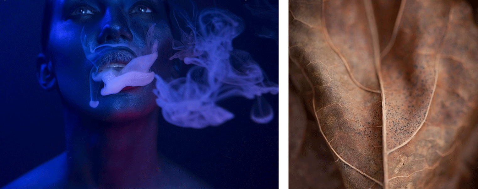 What and how they smoke in Bulgaria